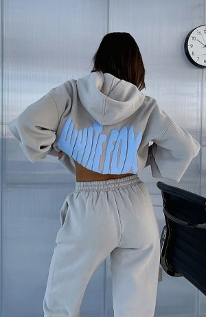 White Fox Boutique Archive 6.0 Oversized Hoodie Grey / Blue | USA-10394IAUZ