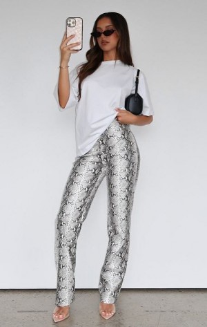 White Fox Boutique Snake Bite Pu Pants Snake | USA-90645MDZT